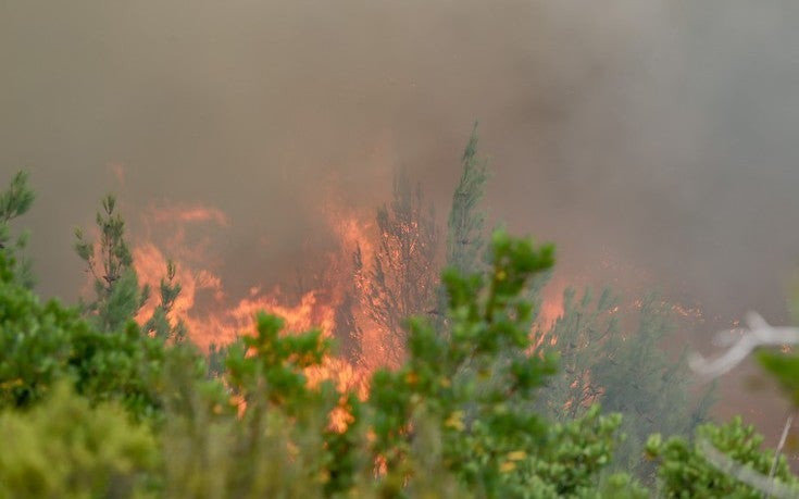 Πυρκαγιά στο χωριό Ρεγκίνι στα Καμένα Βούρλα